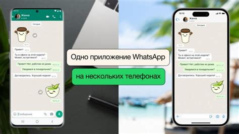 djwfg|вацап.